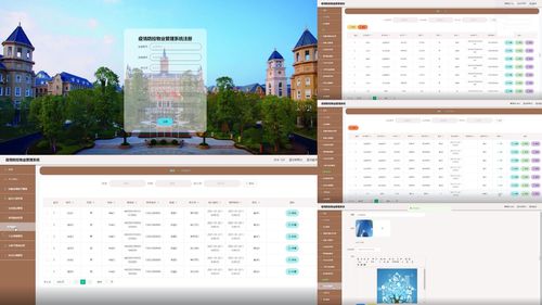 軟件工程畢業(yè)設(shè)計(jì)選題100例（五）——進(jìn)階與實(shí)踐方向